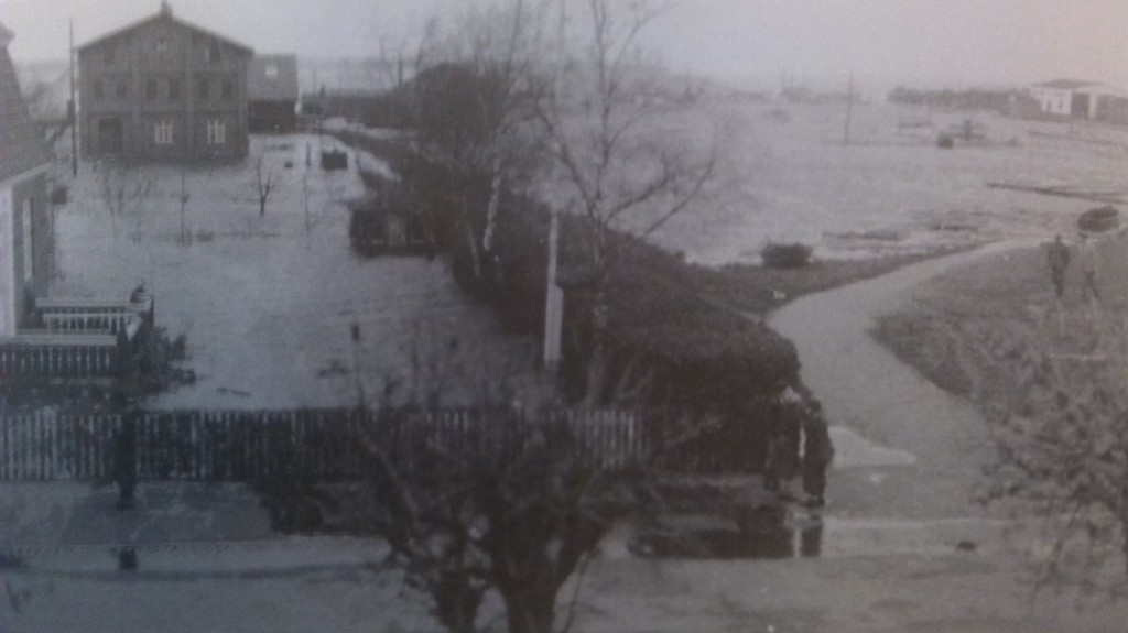 Havnen - november 1945