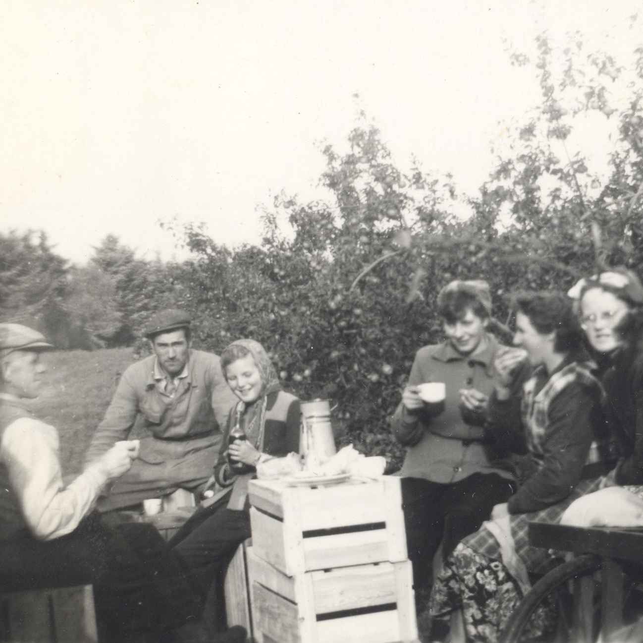 I æblerne med kaffe - f.v. Sophus Vendelev, Søren Jørgensen, Lajla, kusine Gerda, Thora Vendelev, Karen Christiansen