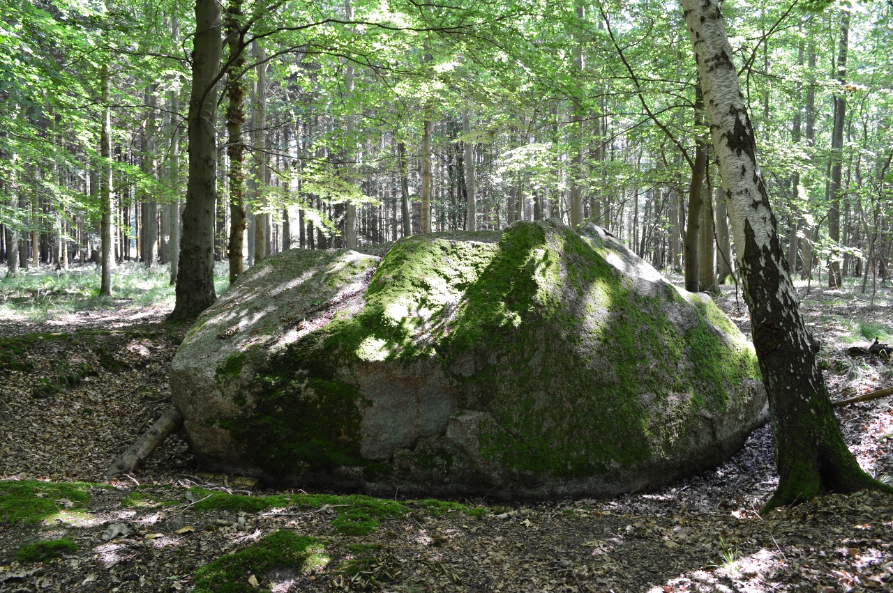 Ståstenen – den store sten på Ashoved